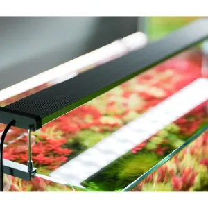 Bestpreis Chihiros B-Serie LED-Beleuchtung, 80-100 cm, mit Bluetooth